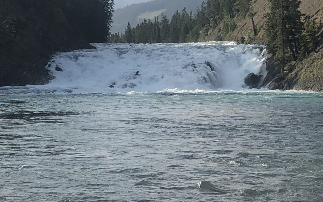 Banff Festival Takeaways