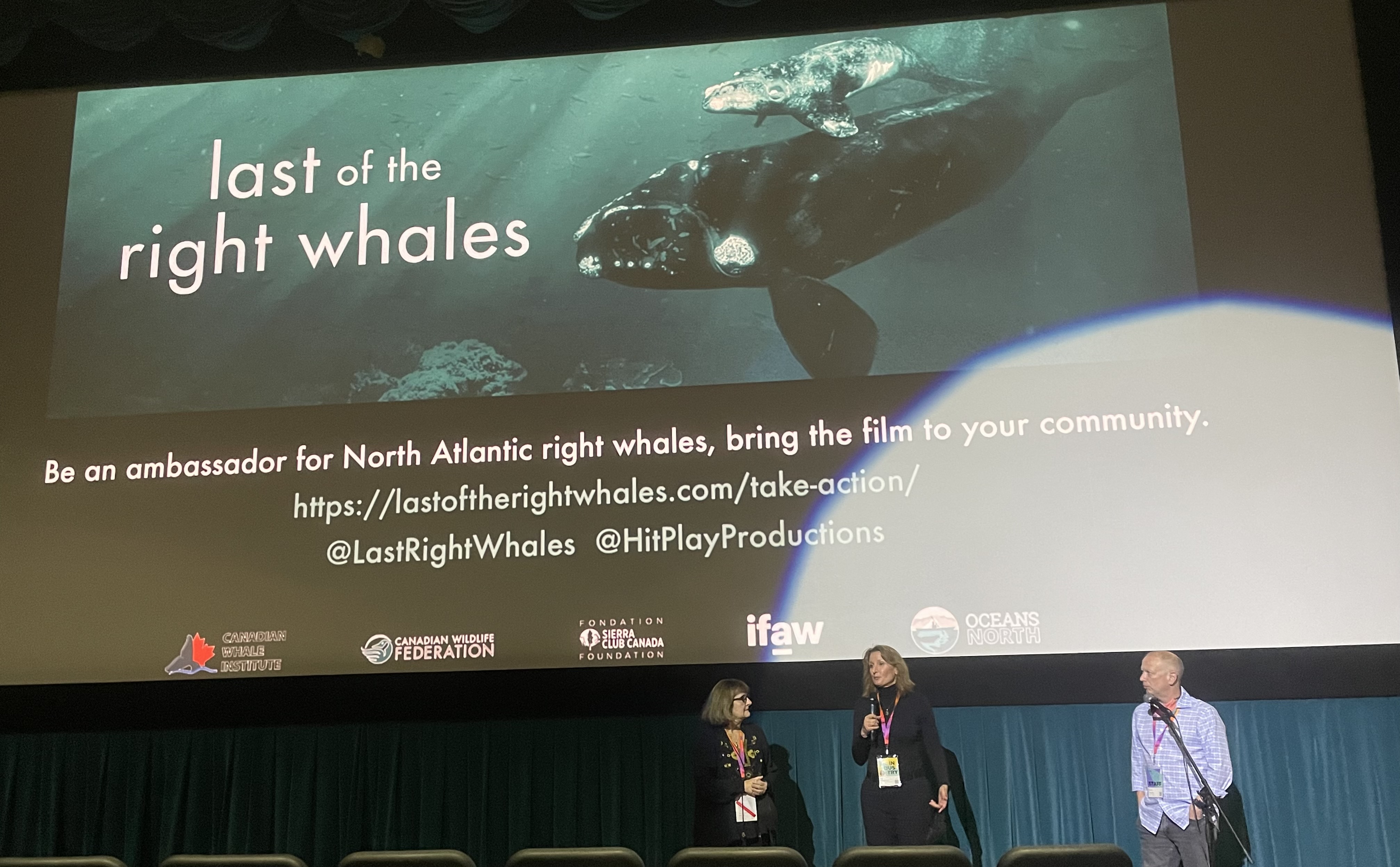 Launching Last of the Right Whales Impact Campaign