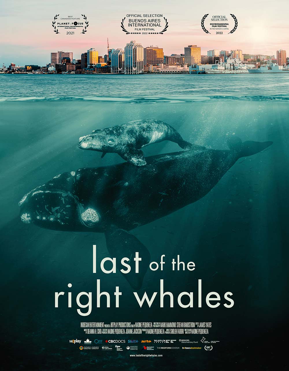 Last of the Right Whales