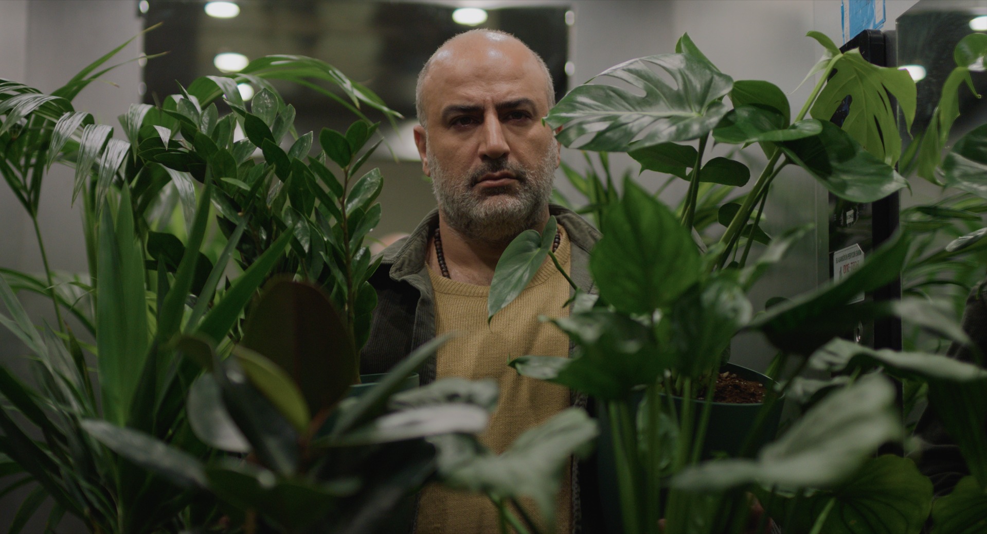 Ali Asgari’s A Bit of Light to Premiere in Venice with Good Measure Productions as Canadian Co-Producer